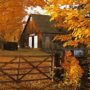 Meet your Posher, Ann